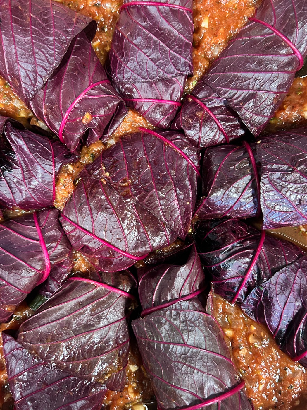 IMG_1237.jpeg IMG_1237.jpeg