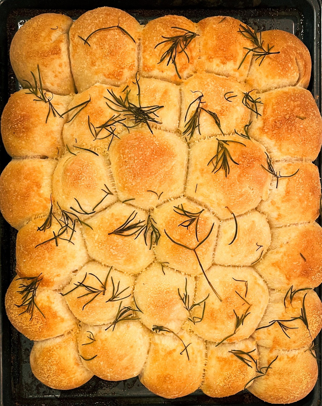 IMG_0220.jpeg IMG_0220.jpeg