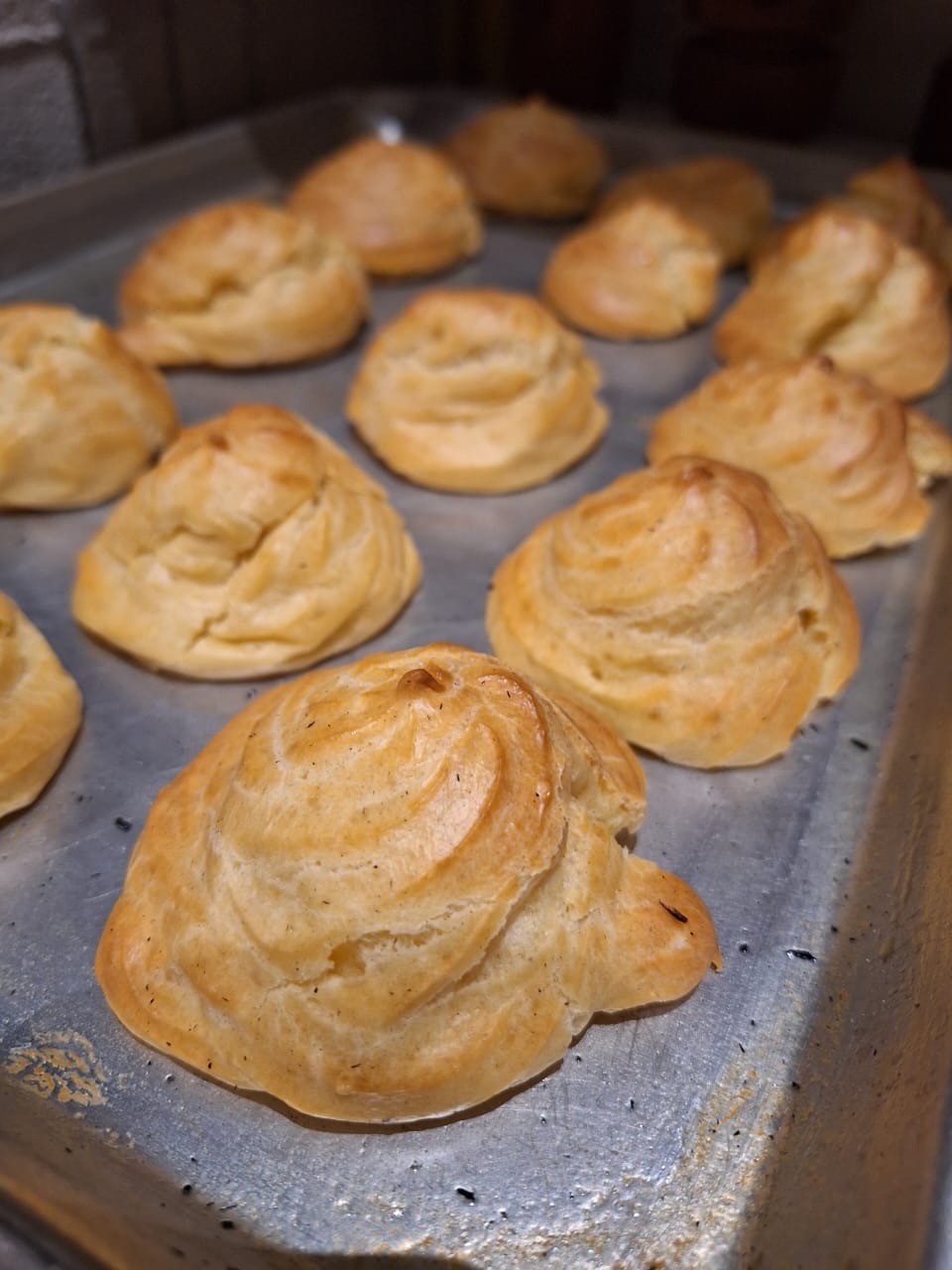 1000211696.jpeg 1000211696.jpeg