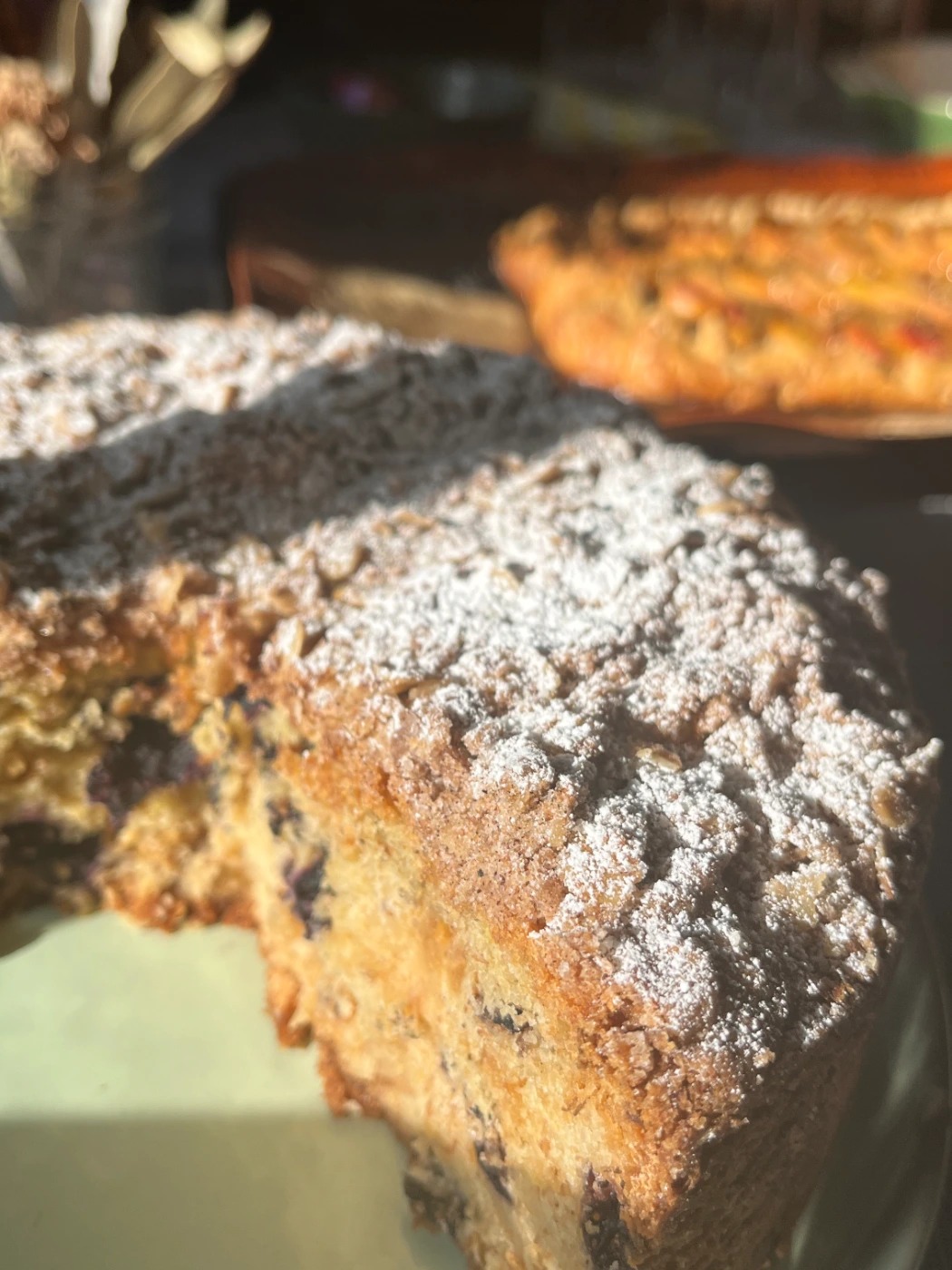 IMG_2855.jpeg IMG_2855.jpeg