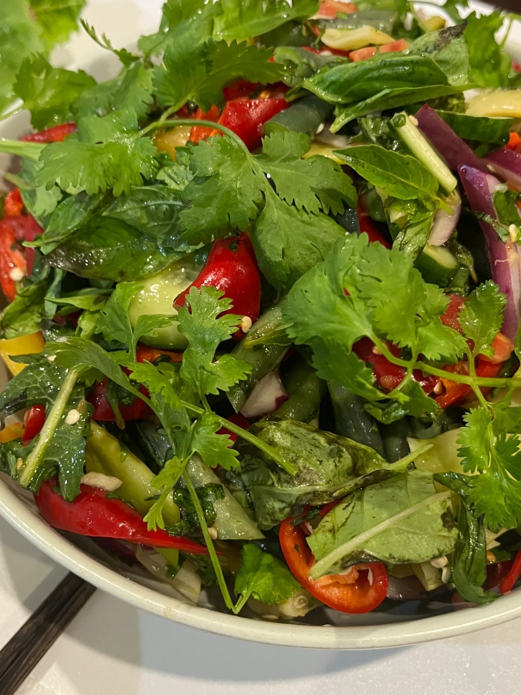 IMG_2600.jpeg IMG_2600.jpeg