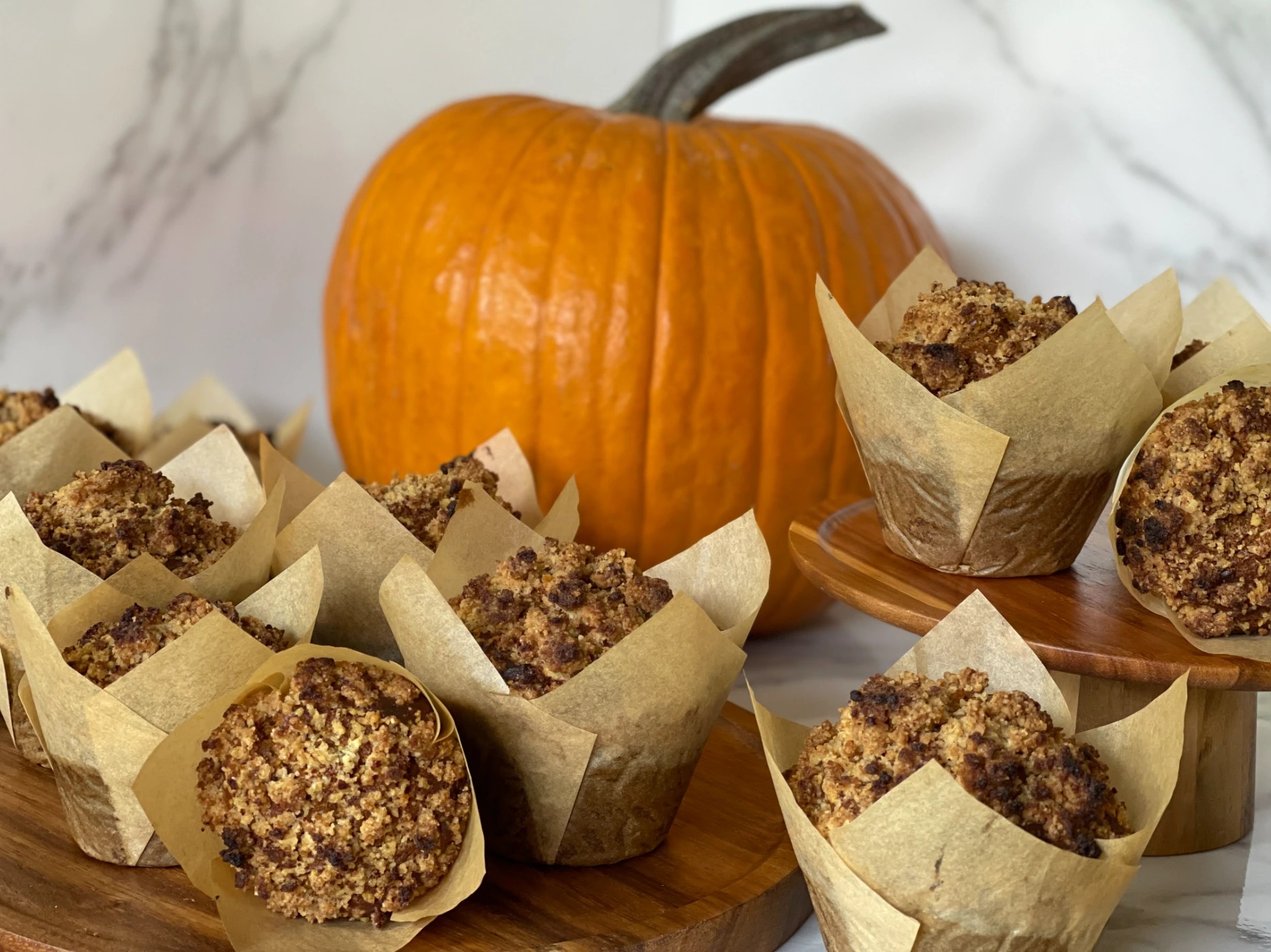 IMG_0518.jpg IMG_0518.jpg