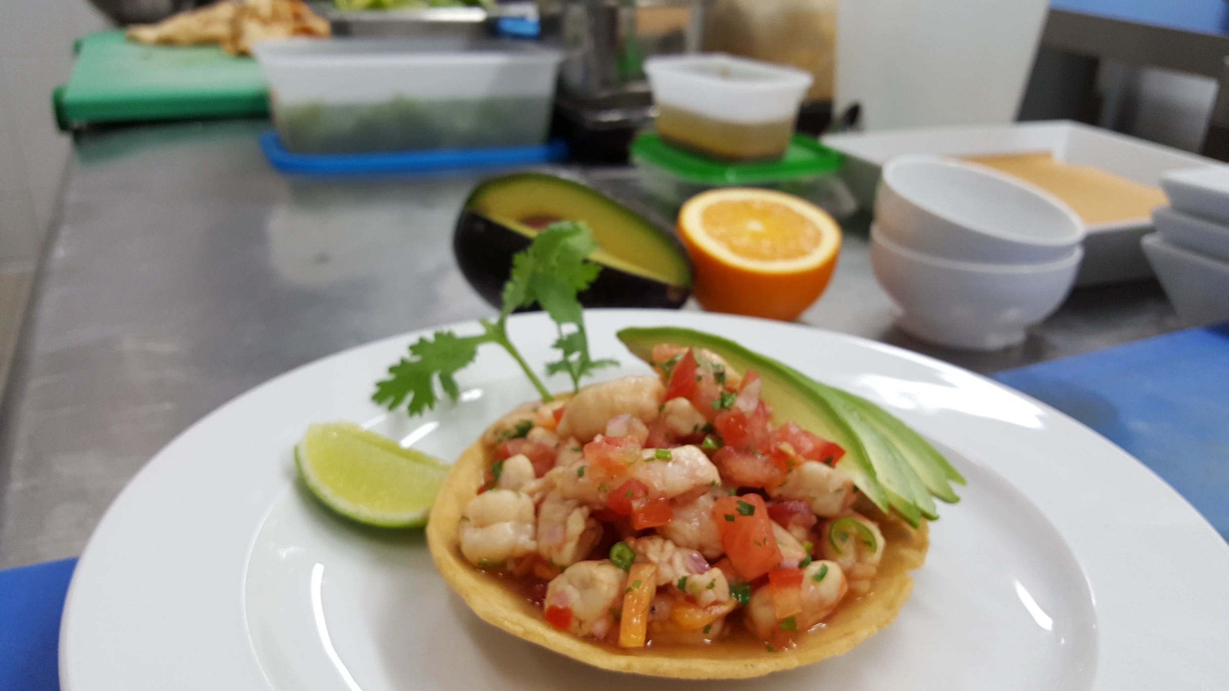 1095843.jpg 1095843.jpg