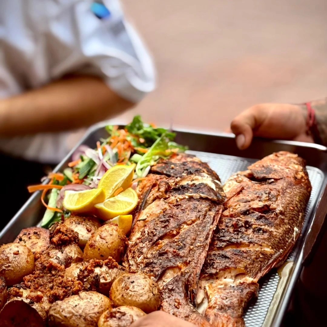 556716419_24351937374501561_2090322623611695951_n.jpg 556716419_24351937374501561_2090322623611695951_n.jpg