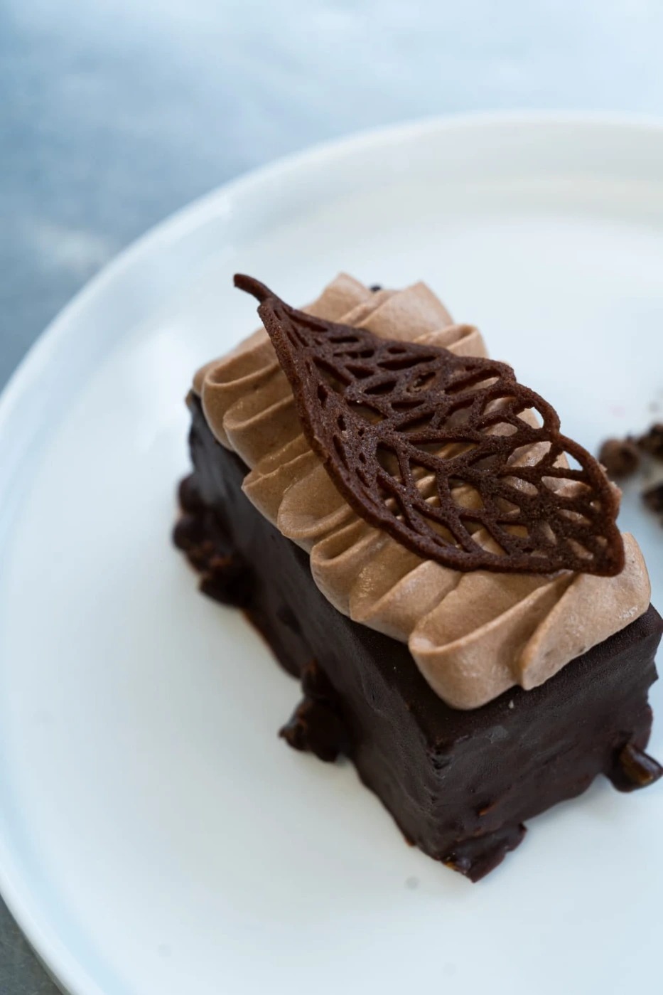 WhatsApp Image 2025-12-03 at 8.30.09 PM.jpeg