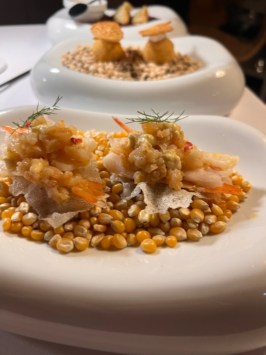 copy_7C2F3B47-78C1-4702-9618-75A9DA3A763F.jpeg copy_7C2F3B47-78C1-4702-9618-75A9DA3A763F.jpeg