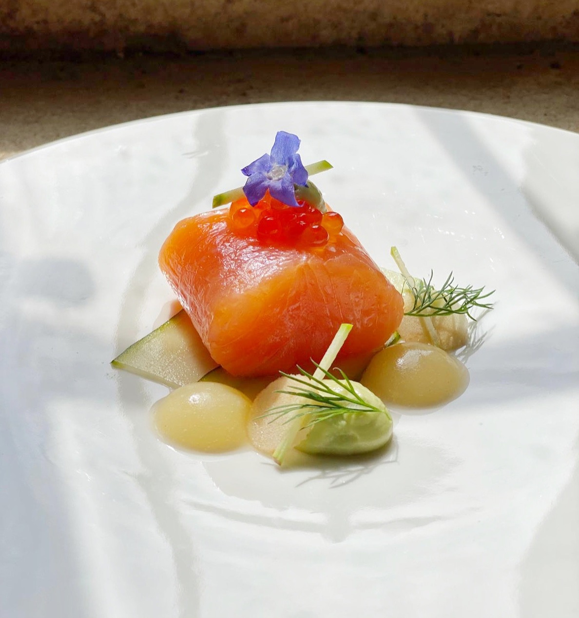 893E2F1B-0636-4798-8738-4DCA6B946DE4.jpeg 893E2F1B-0636-4798-8738-4DCA6B946DE4.jpeg