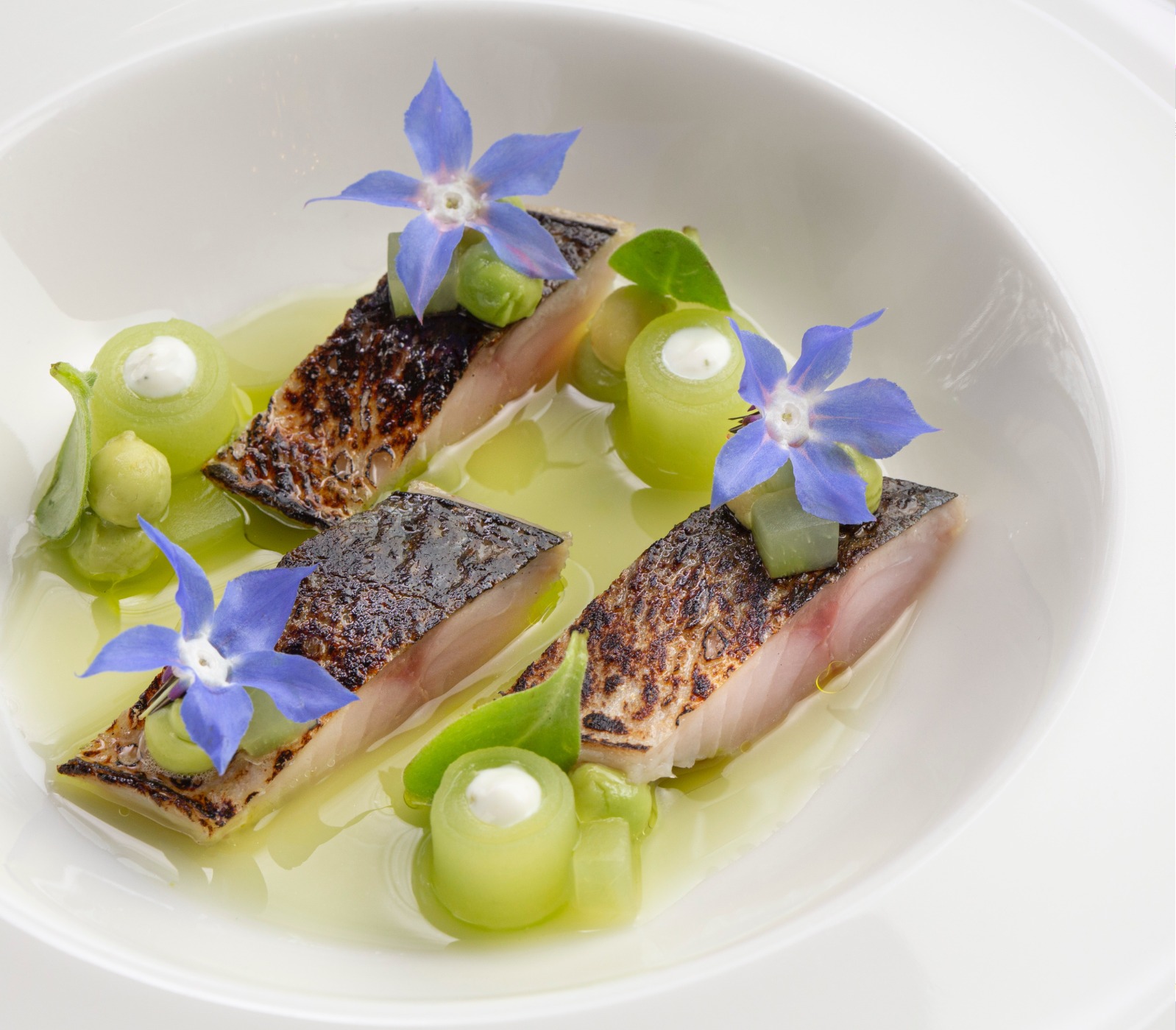 IMG_6847.jpeg IMG_6847.jpeg