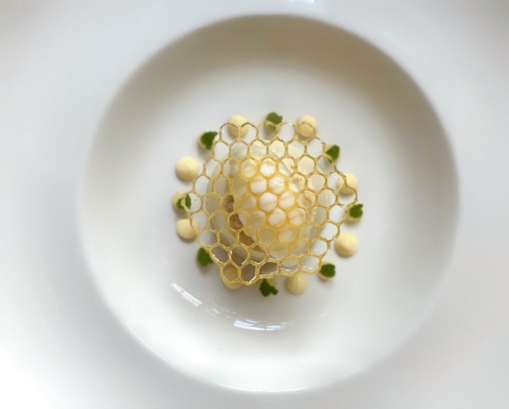 FullSizeRender.jpeg FullSizeRender.jpeg