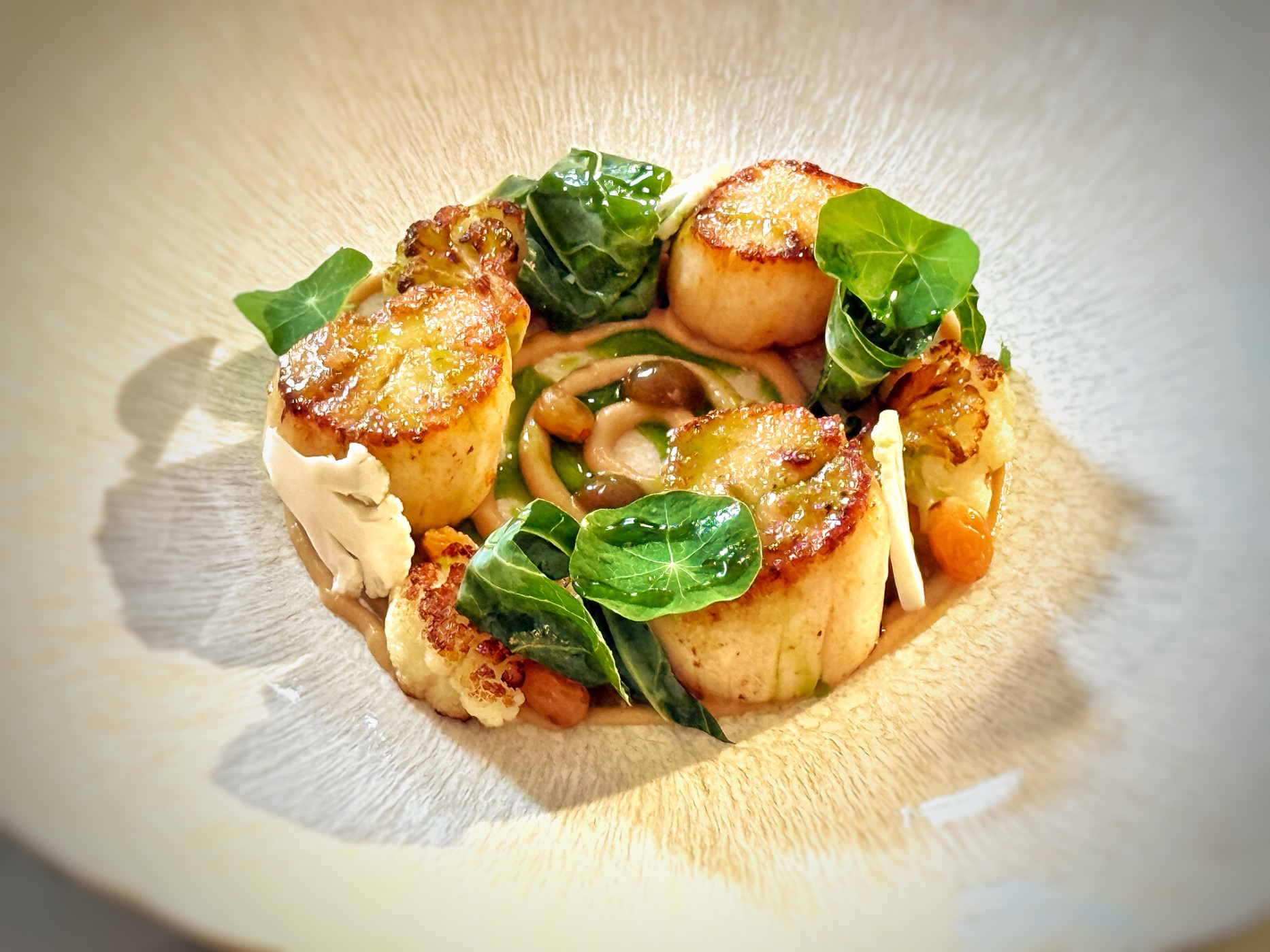 IMG_2026.jpeg IMG_2026.jpeg