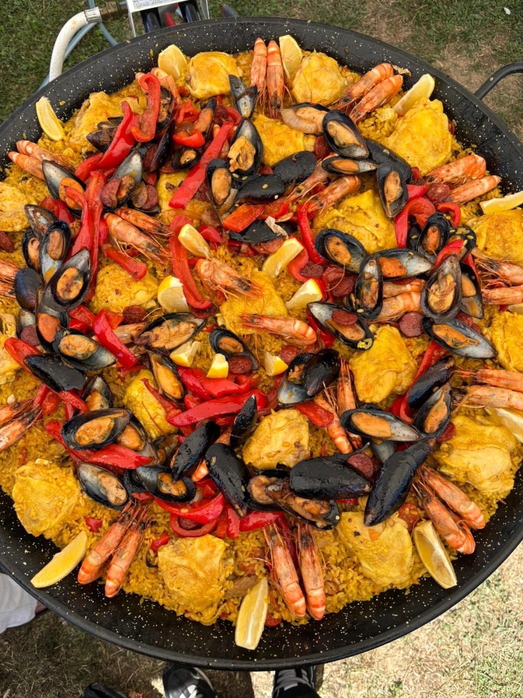 1000048349.jpg 1000048349.jpg