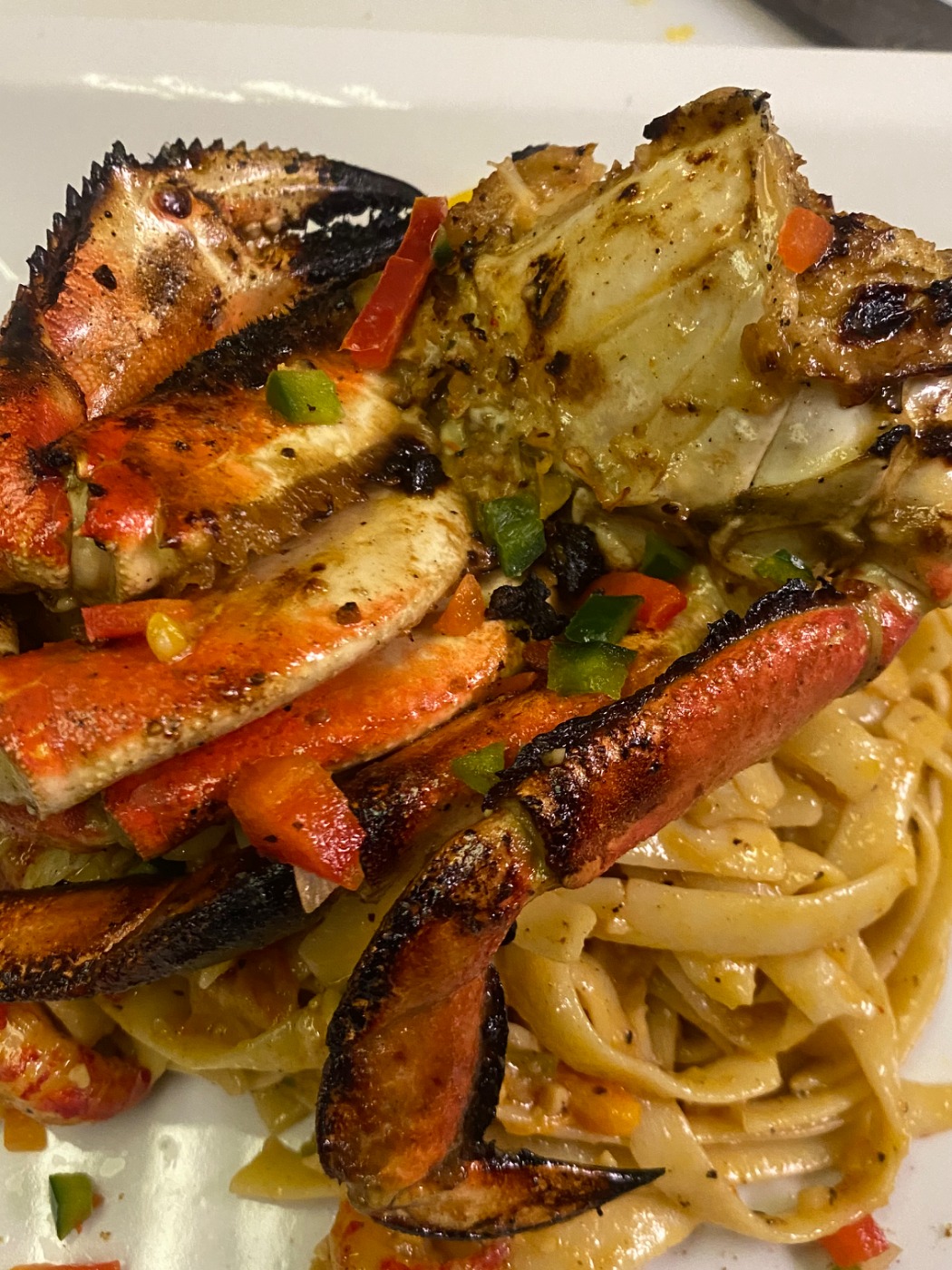 IMG_0473.jpeg IMG_0473.jpeg