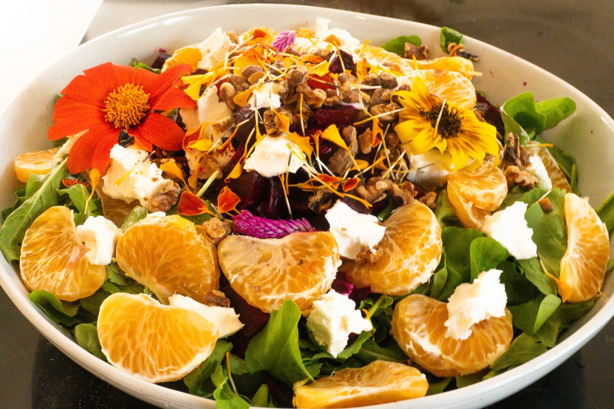 PANA7046.jpg PANA7046.jpg