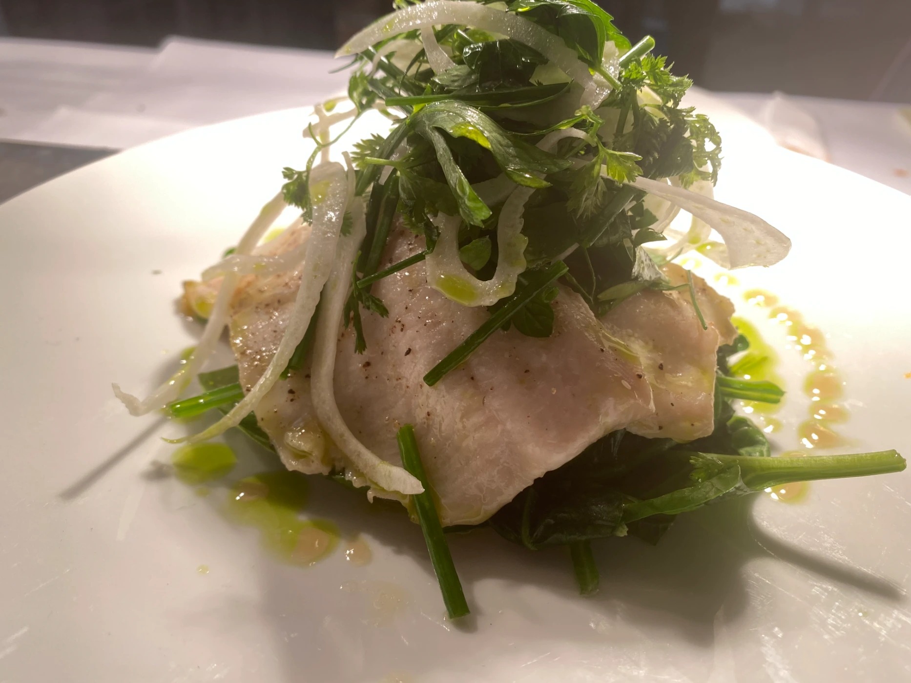 IMG_0677.jpeg IMG_0677.jpeg