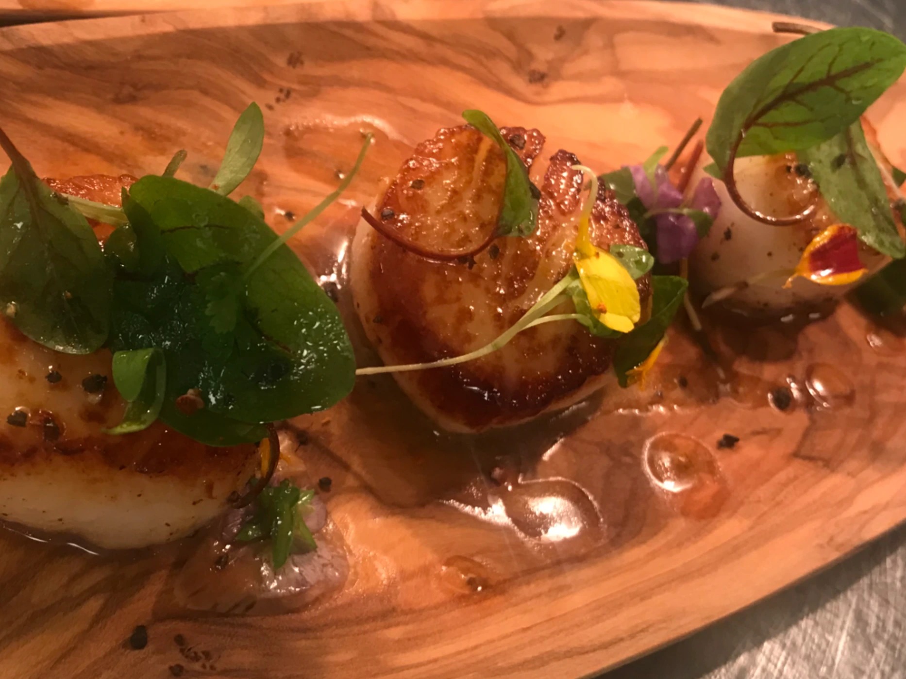 13413281-6F8A-40FE-B145-E4D55369A186.jpeg 13413281-6F8A-40FE-B145-E4D55369A186.jpeg