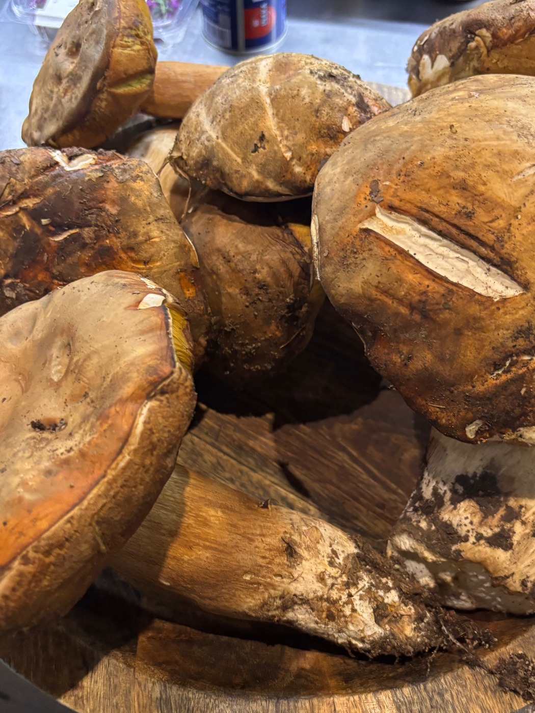 IMG_5116.jpeg IMG_5116.jpeg