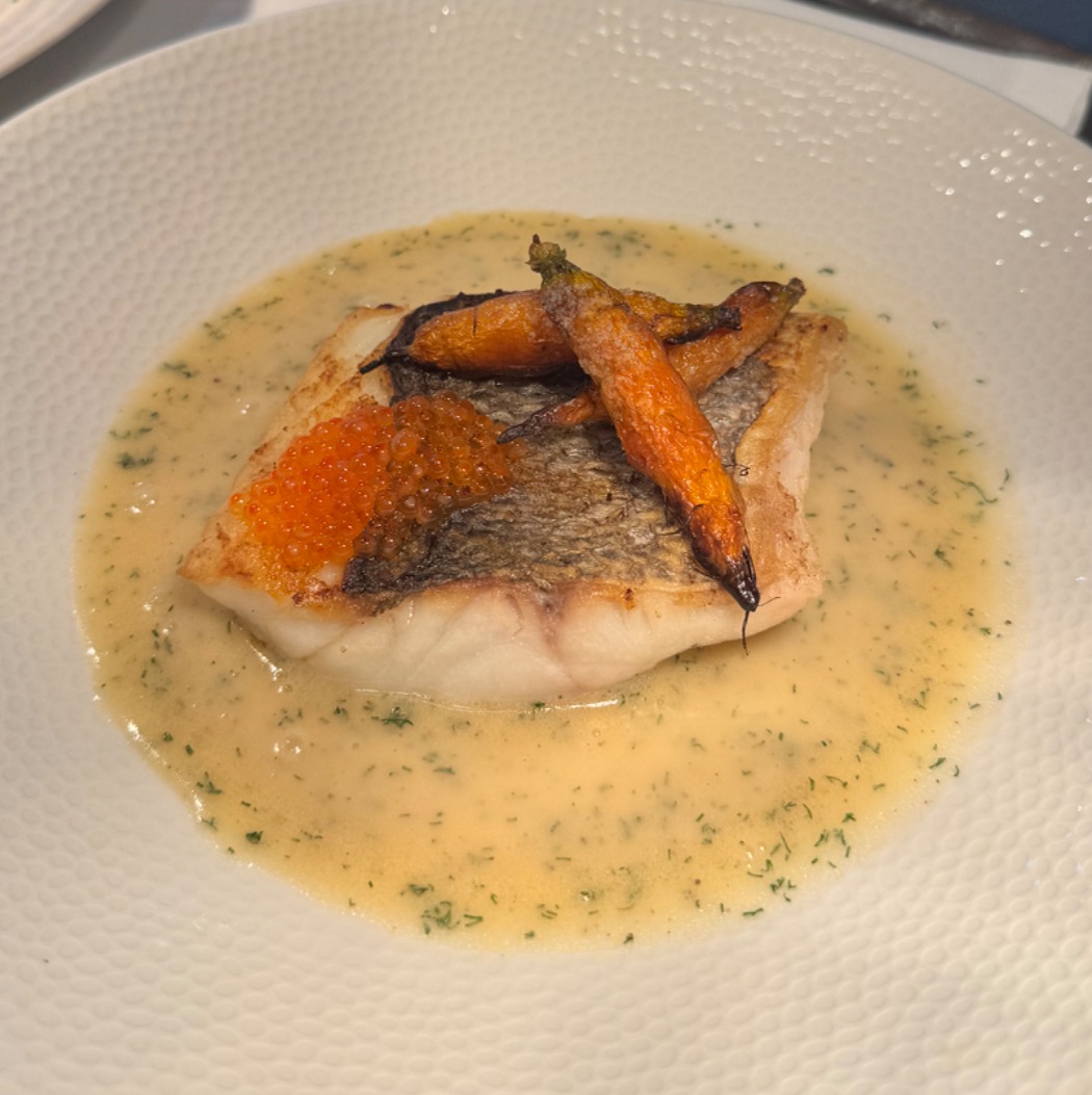 IMG_8287.jpeg IMG_8287.jpeg