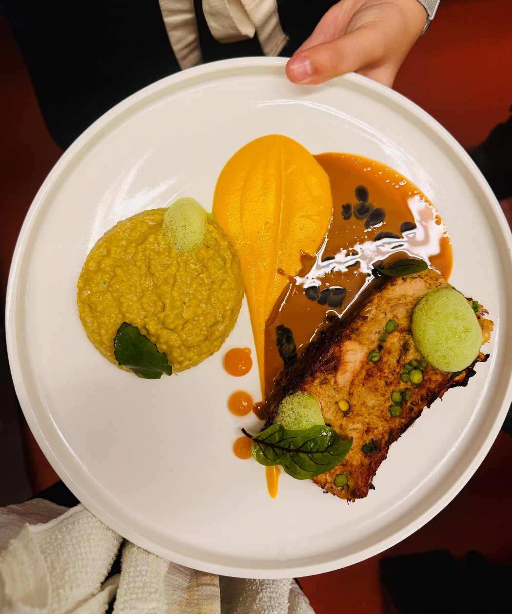 IMG_0296.jpeg IMG_0296.jpeg