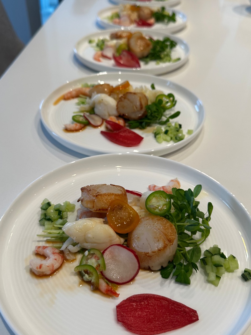 IMG_4192.jpeg IMG_4192.jpeg