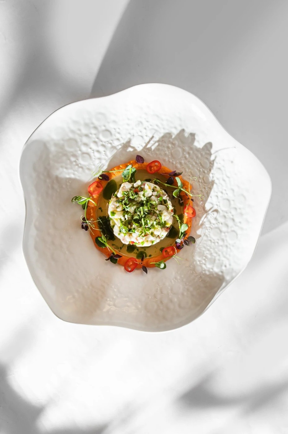 1000009606.jpg 1000009606.jpg