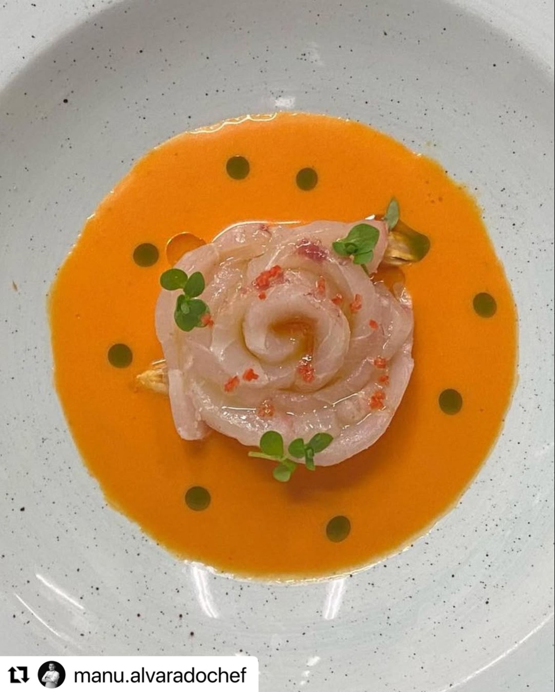 0BBCAF30-FFFE-4AD0-8DCE-765C6EF56877.jpeg 0BBCAF30-FFFE-4AD0-8DCE-765C6EF56877.jpeg