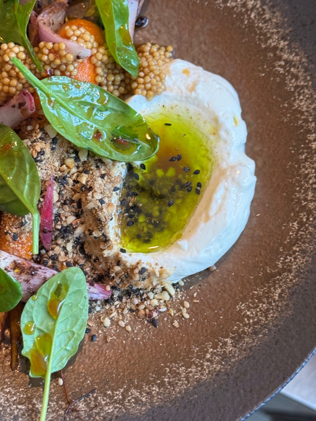 IMG_9363.jpeg IMG_9363.jpeg