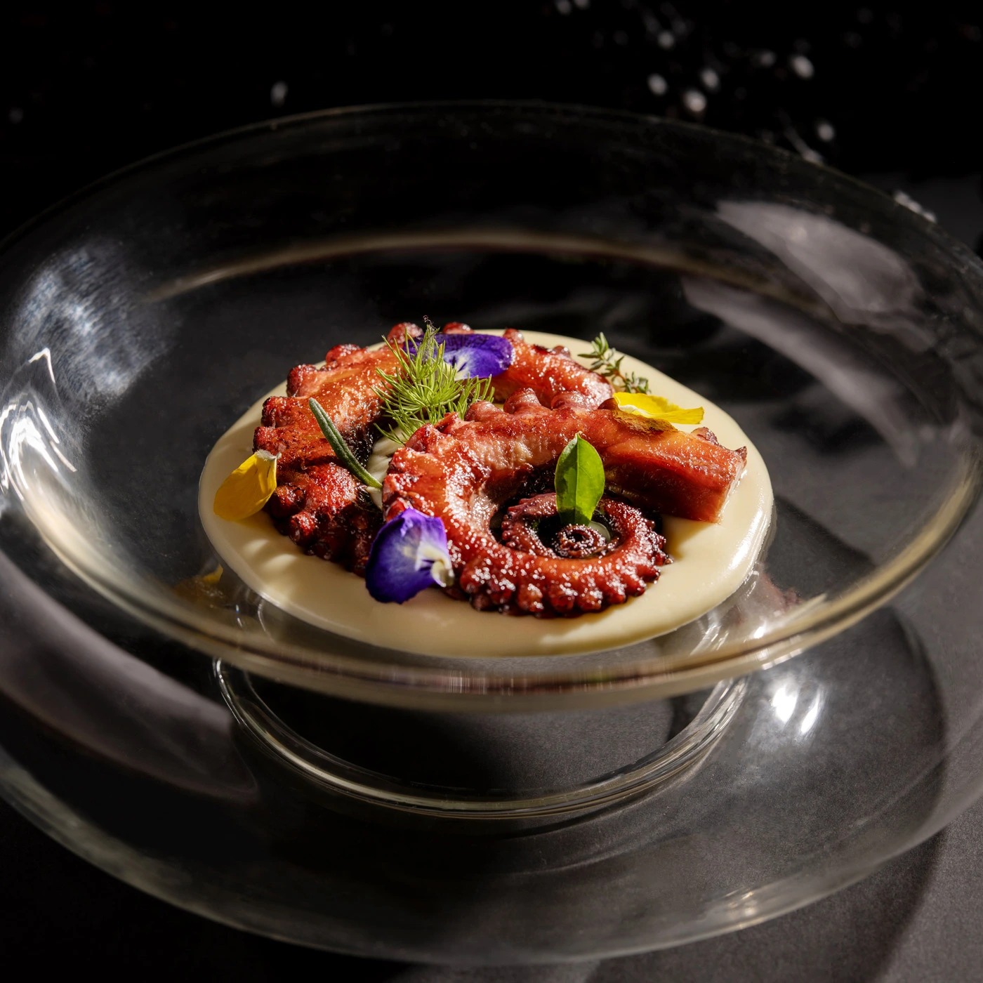 Polpo_min_square.jpg Polpo_min_square.jpg