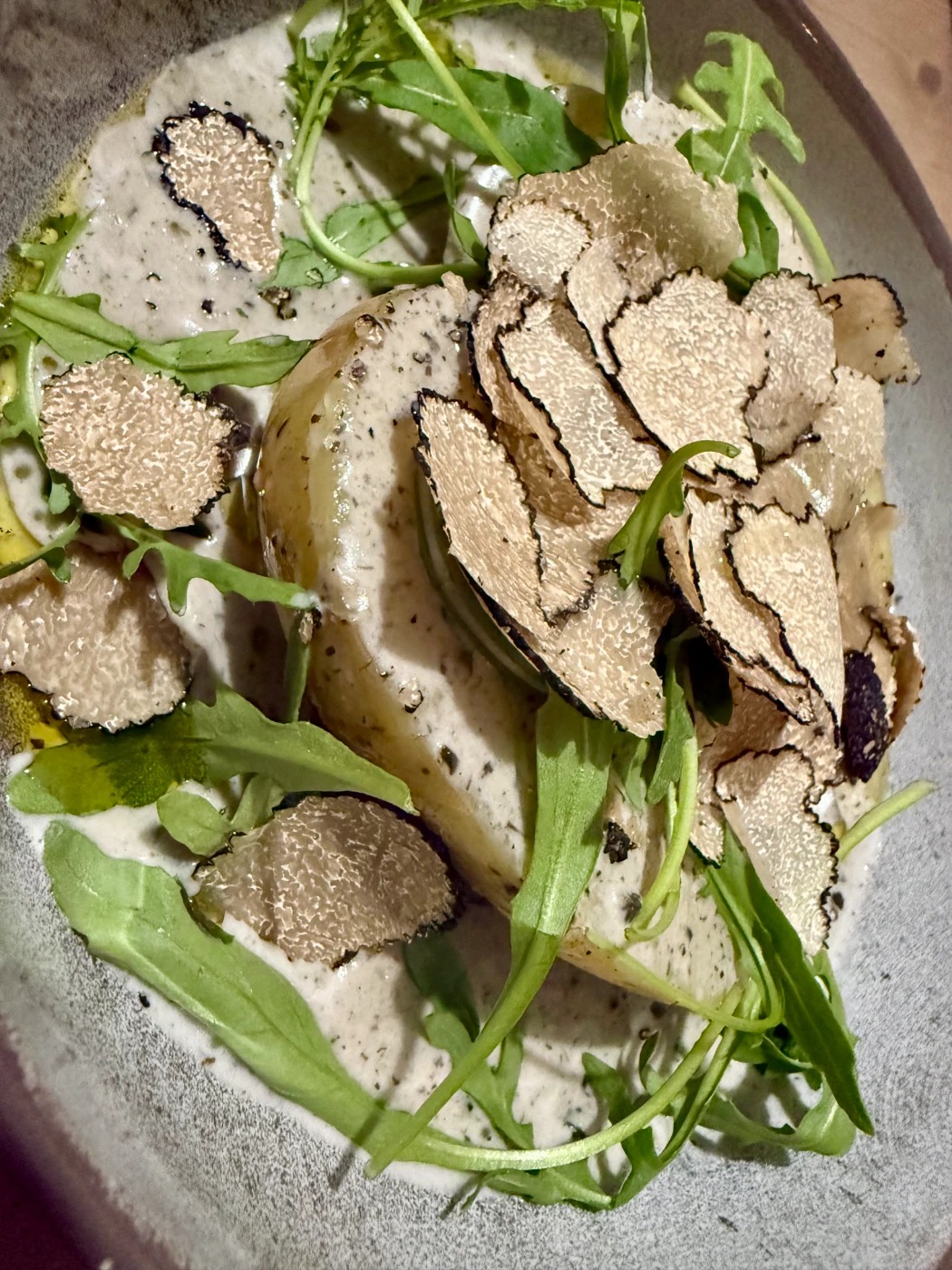 IMG_0489.jpeg IMG_0489.jpeg