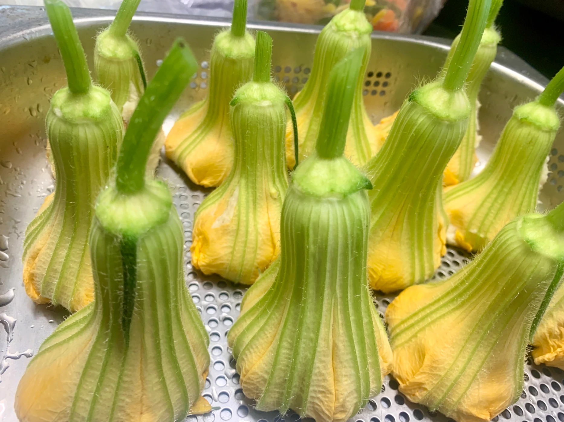 IMG_8285.jpeg IMG_8285.jpeg