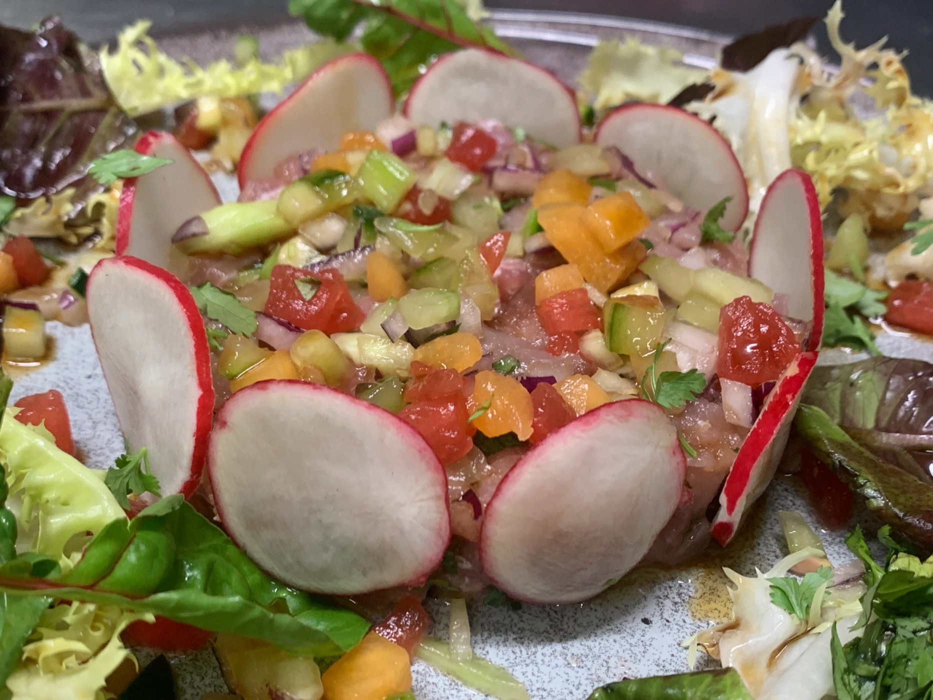 IMG_6857.jpeg IMG_6857.jpeg