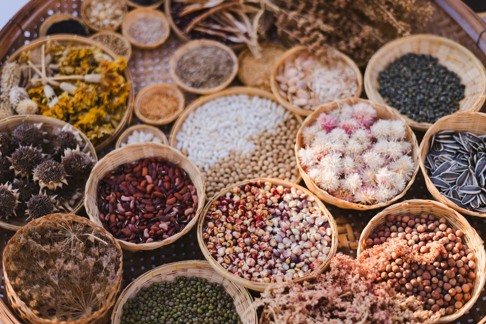 Photo-168.jpeg Photo-168.jpeg