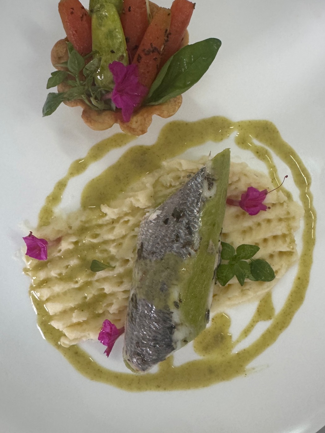 IMG_4047.jpeg IMG_4047.jpeg