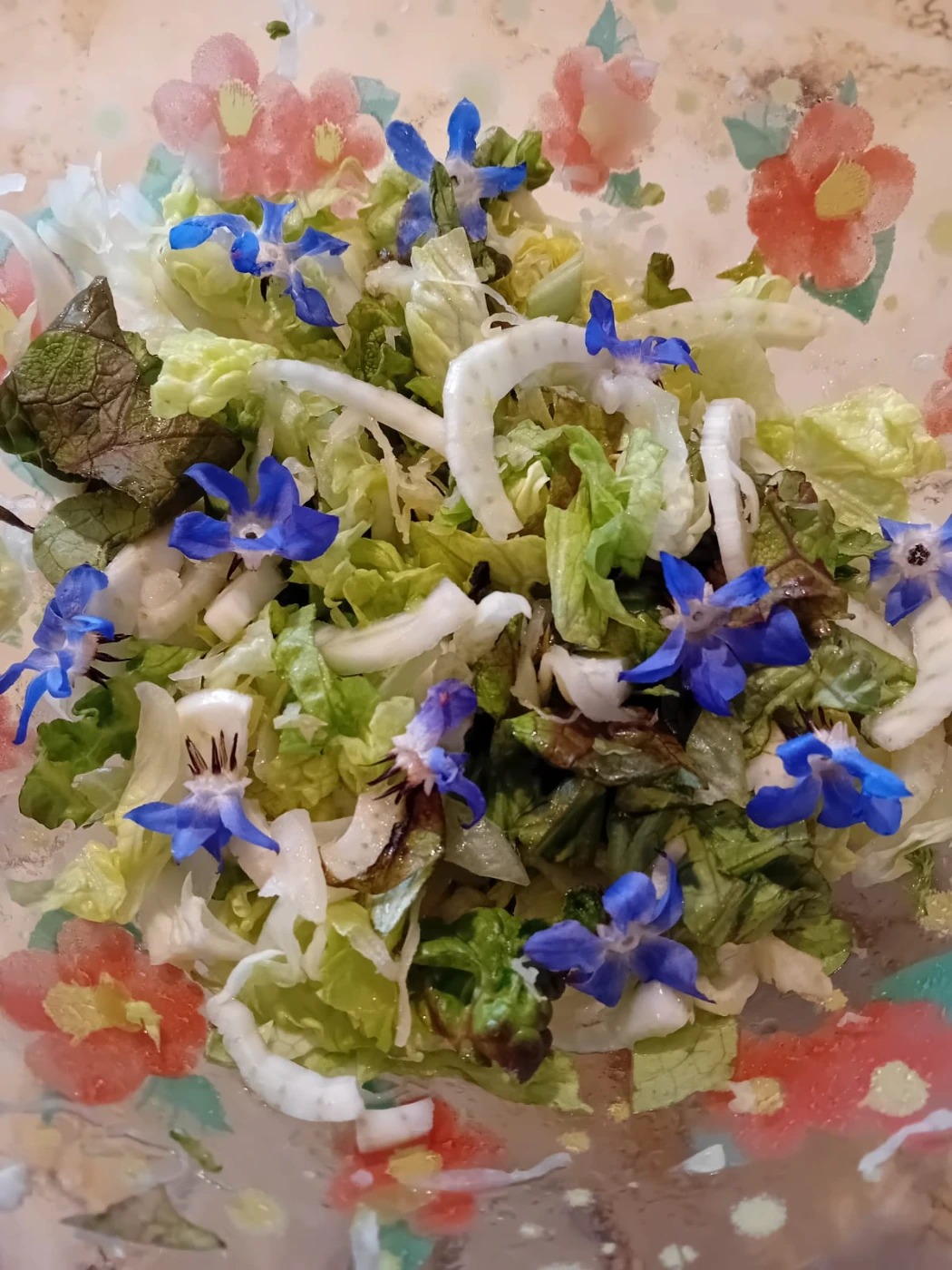 IMG-20251206-WA0009.jpg IMG-20251206-WA0009.jpg