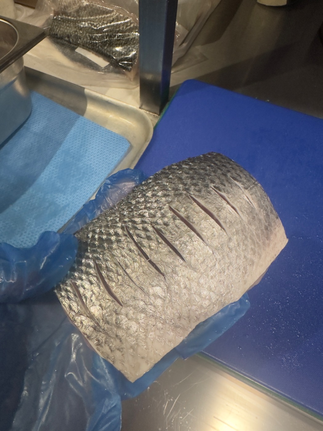 IMG_1528.jpeg IMG_1528.jpeg