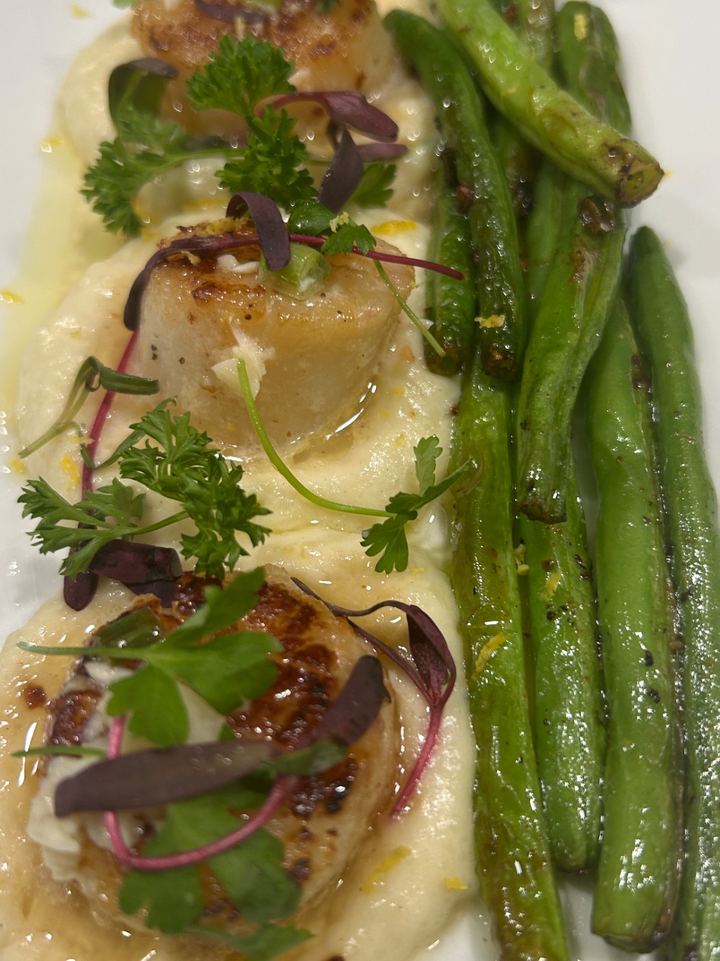 IMG_3148.jpeg IMG_3148.jpeg