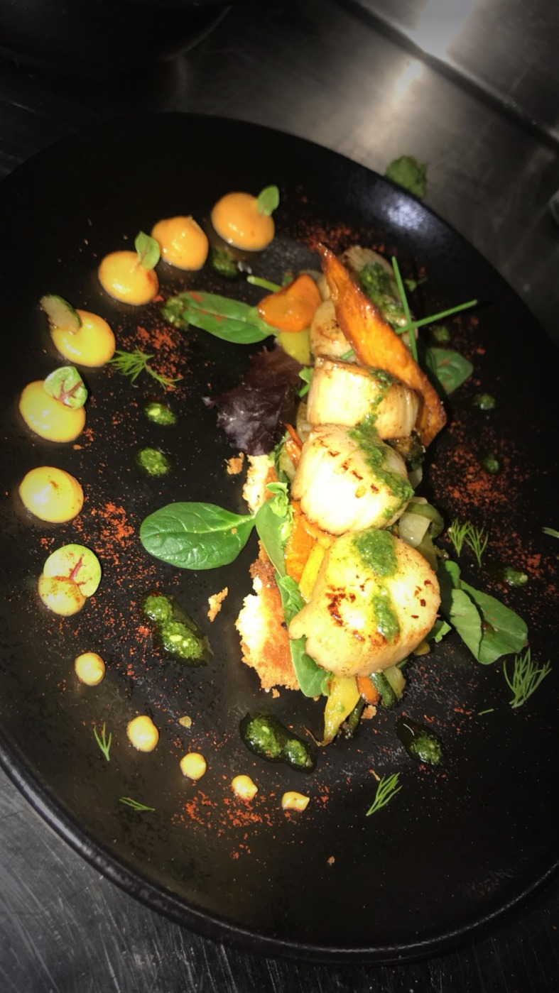 IMG_5955.jpeg IMG_5955.jpeg