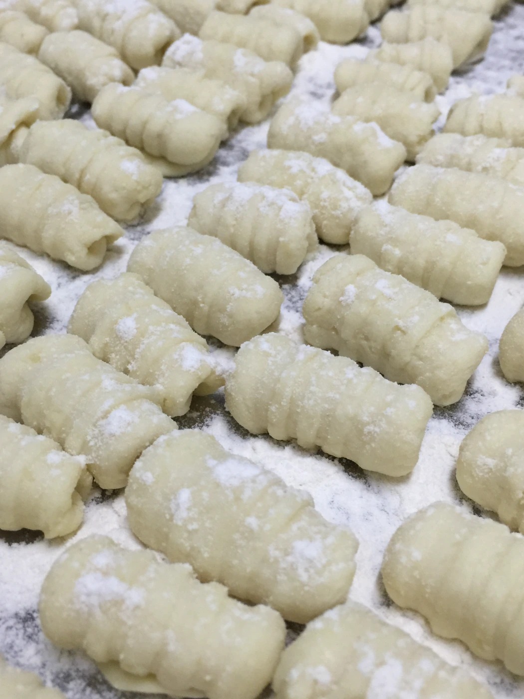 IMG_3064.jpeg IMG_3064.jpeg