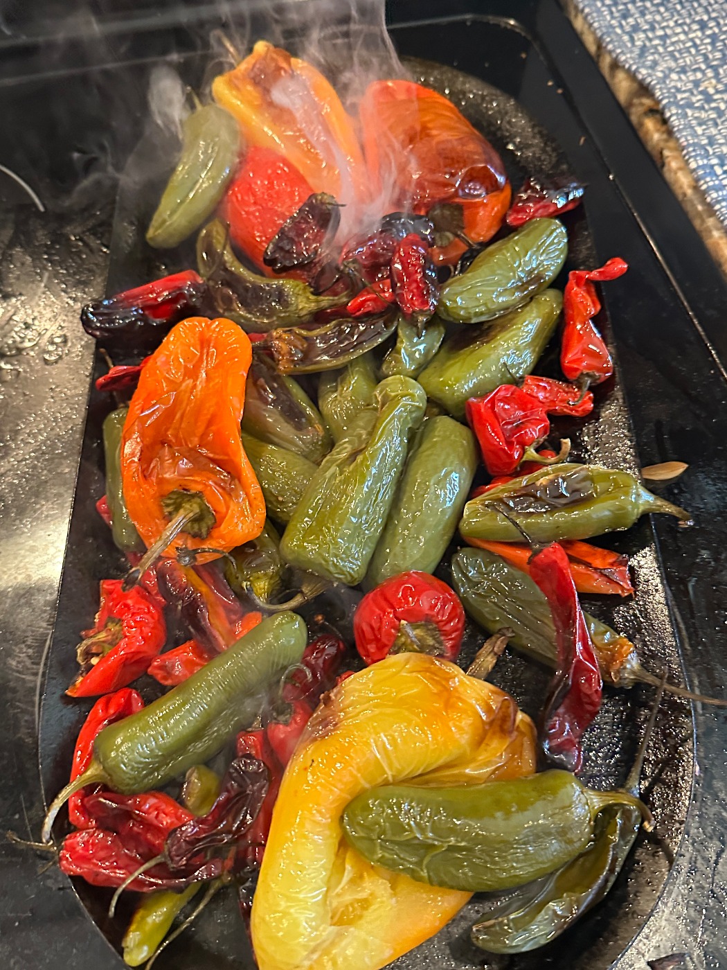 IMG_7753.jpeg IMG_7753.jpeg