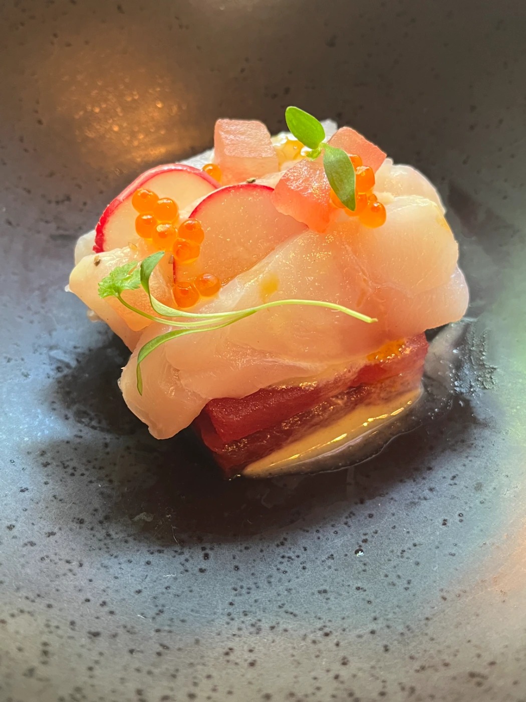 IMG_1793.jpeg IMG_1793.jpeg