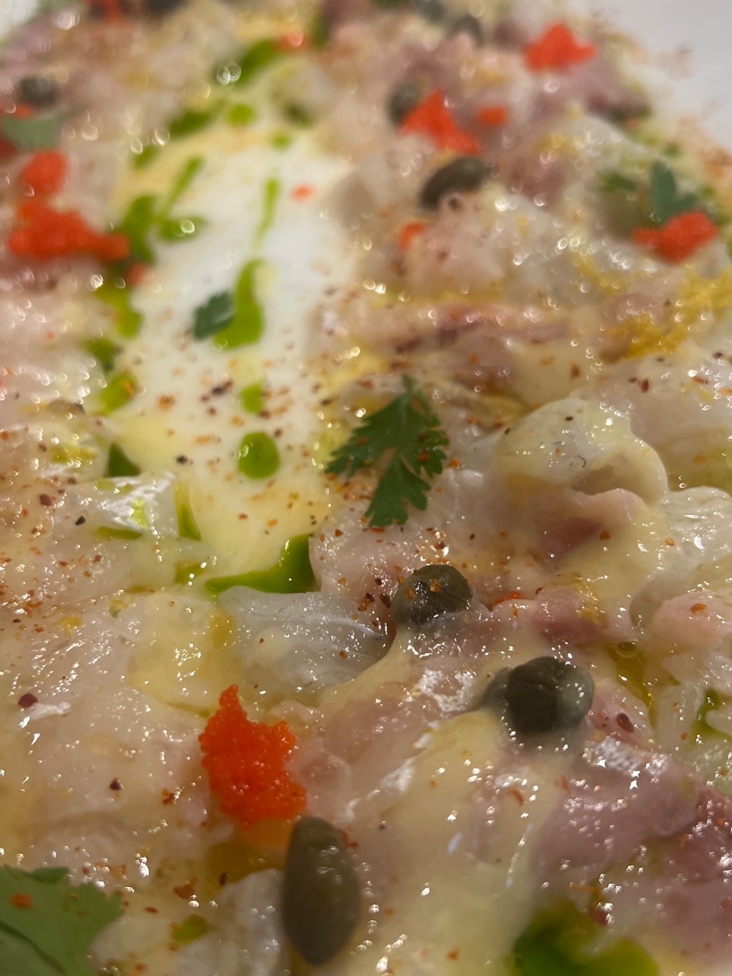 IMG_2341.jpeg IMG_2341.jpeg