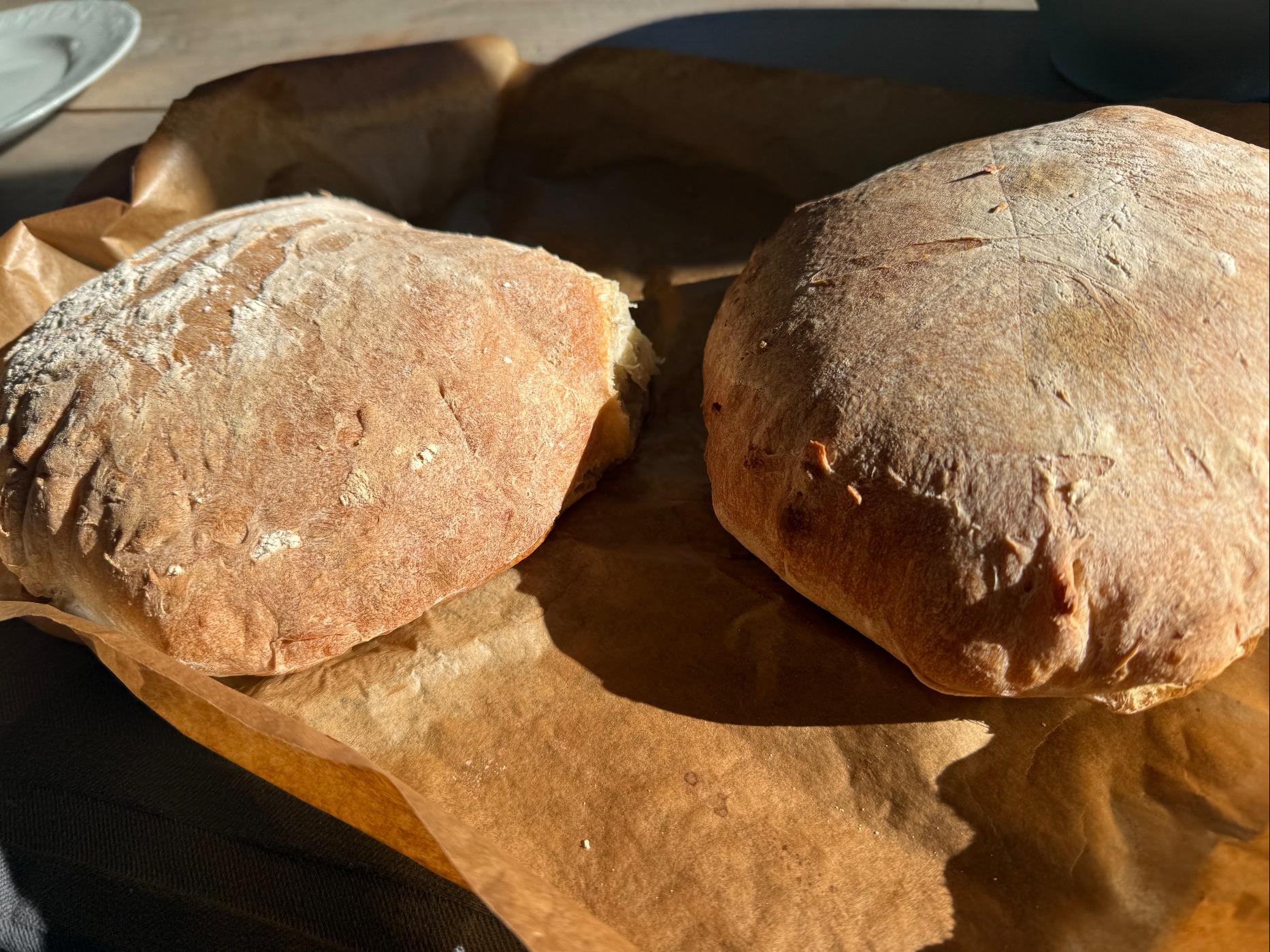 IMG_4387.jpeg IMG_4387.jpeg