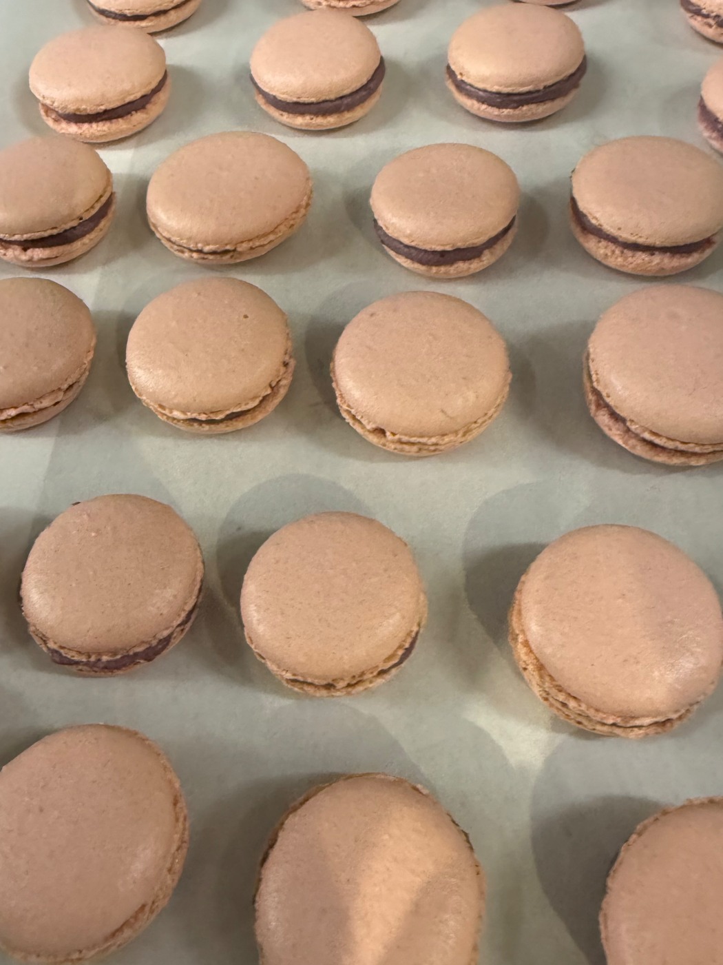 IMG_4359.jpeg IMG_4359.jpeg