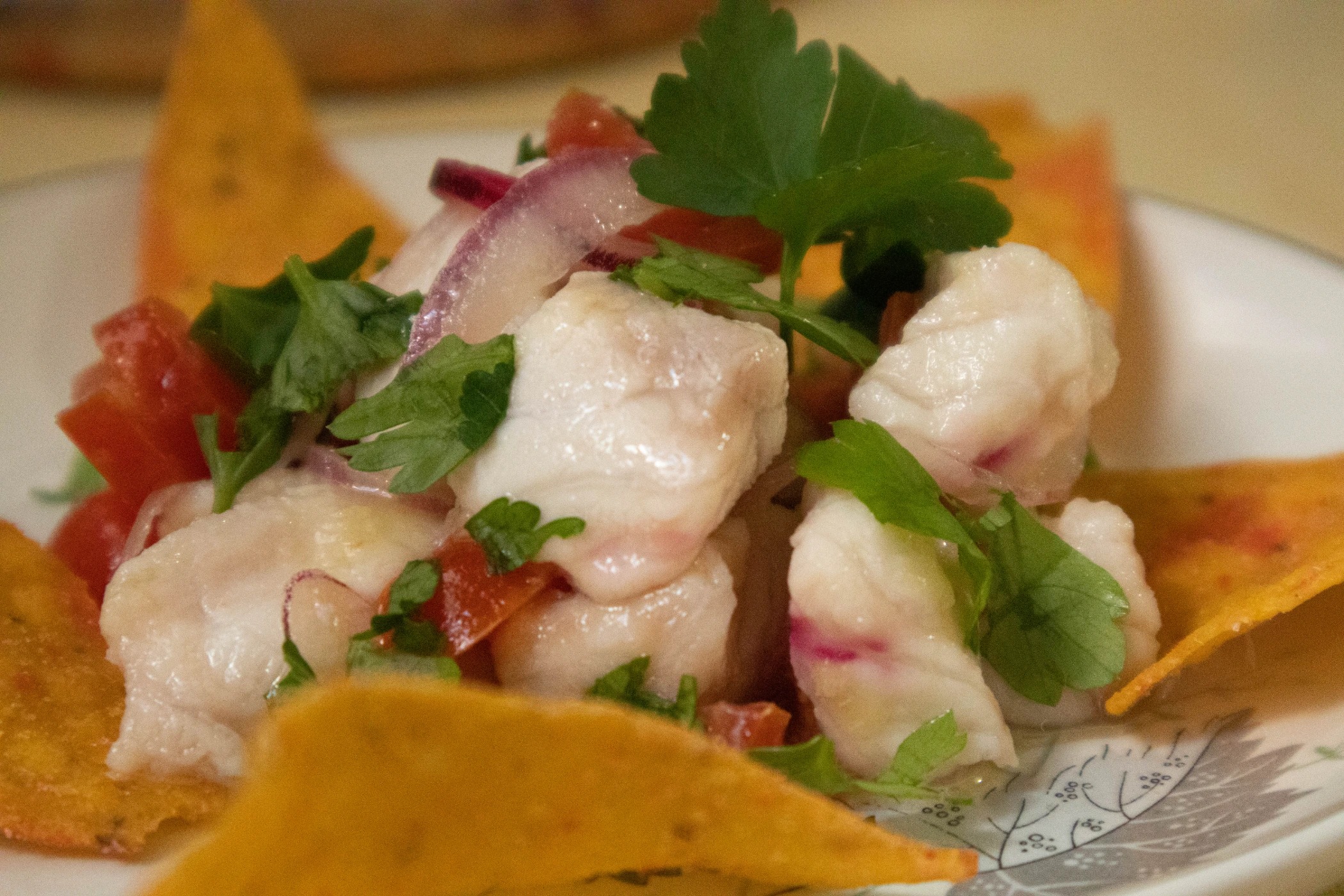 1100805.jpg 1100805.jpg