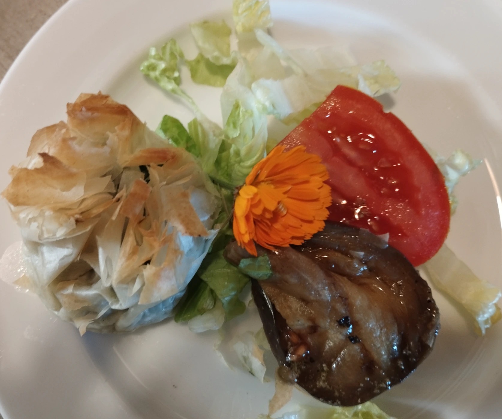 IMG_20240505_131742.jpg IMG_20240505_131742.jpg