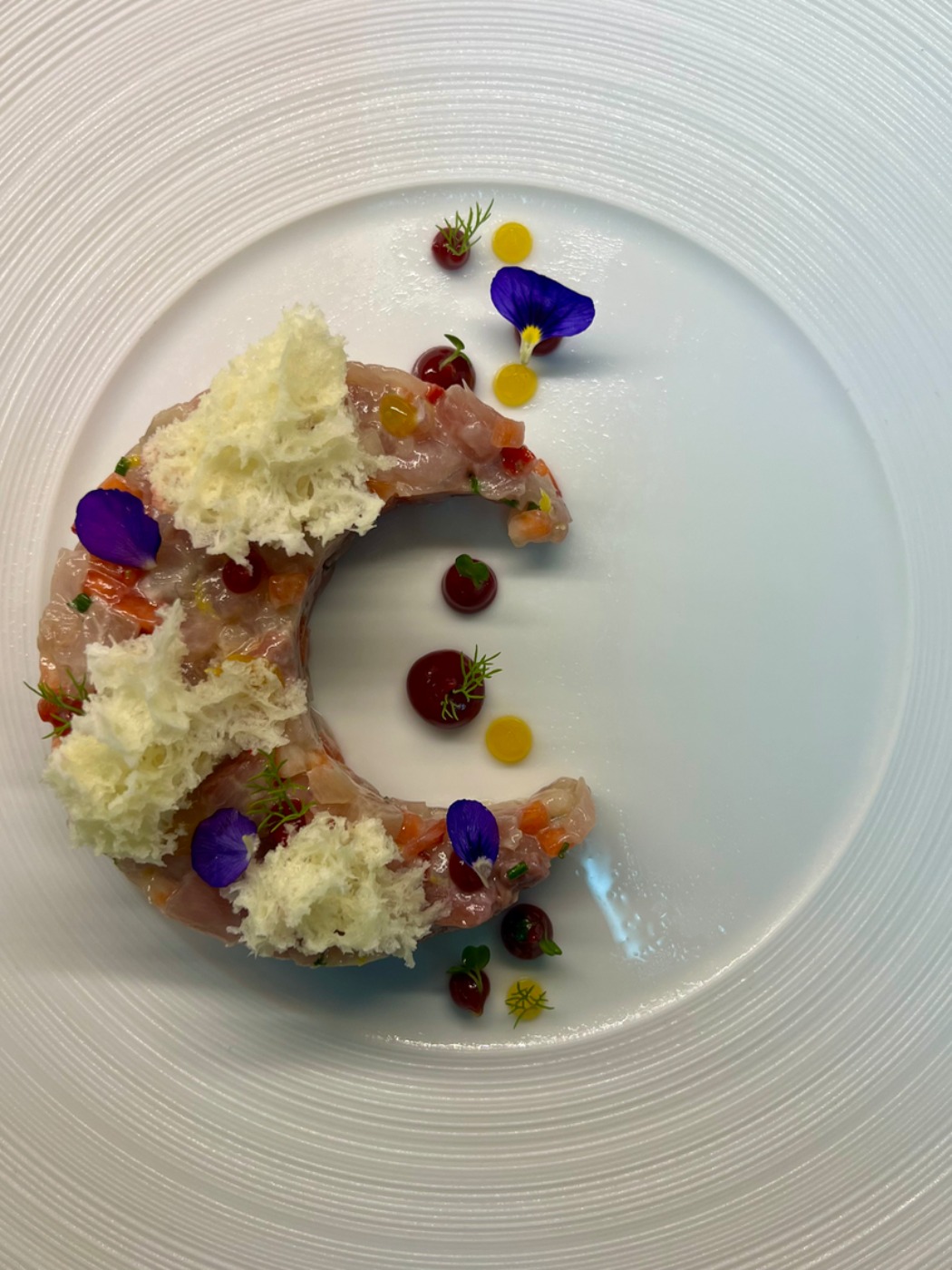 IMG_7839.jpeg IMG_7839.jpeg