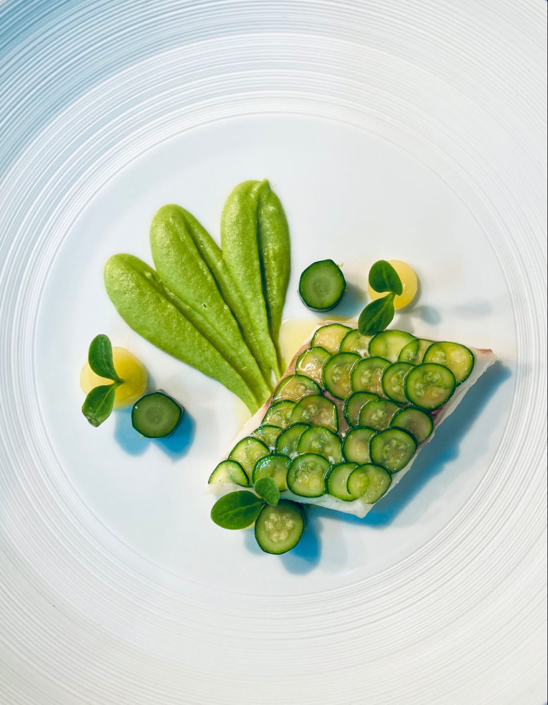 IMG_7306.jpeg IMG_7306.jpeg