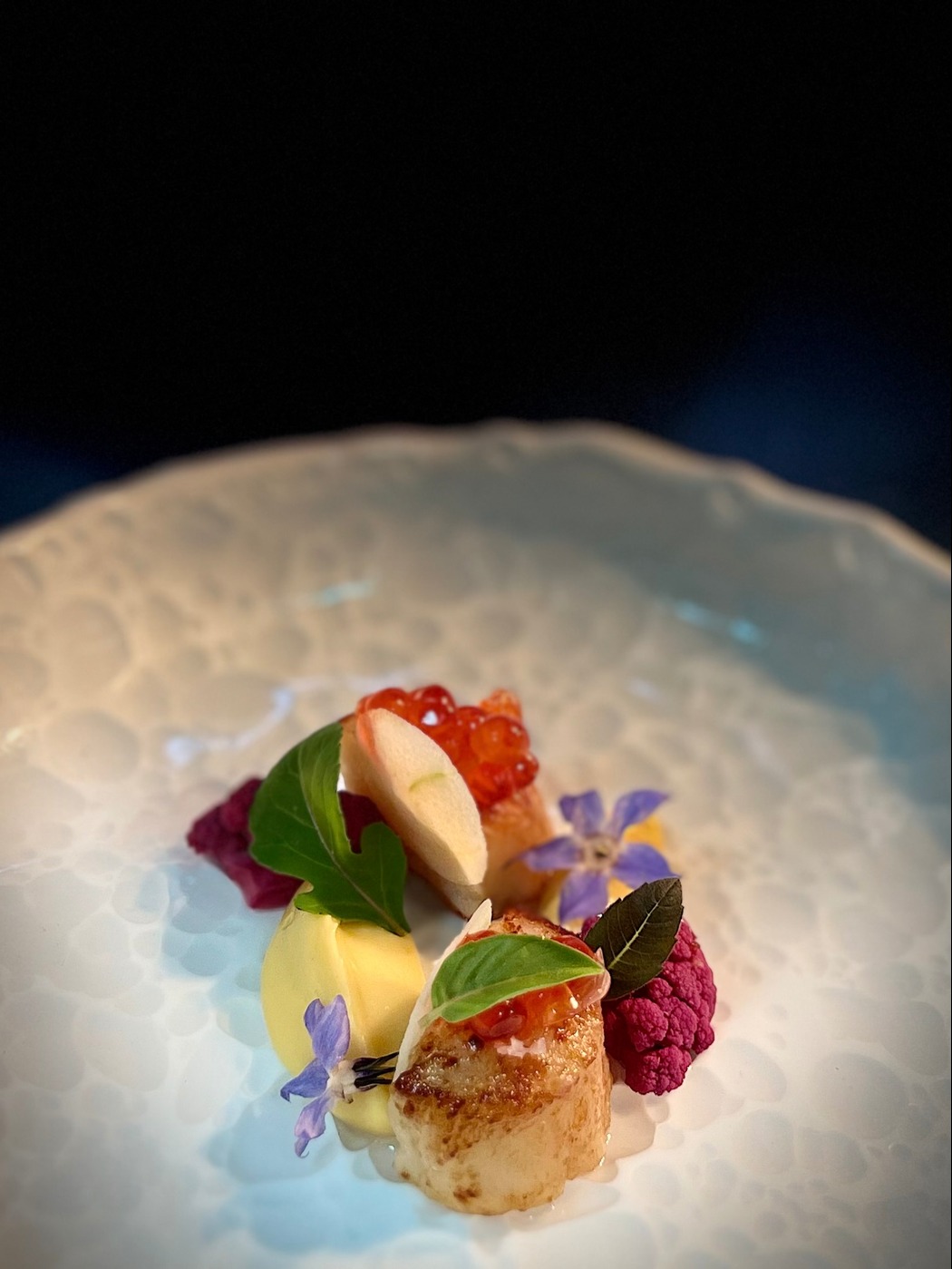 IMG_2516.jpeg IMG_2516.jpeg