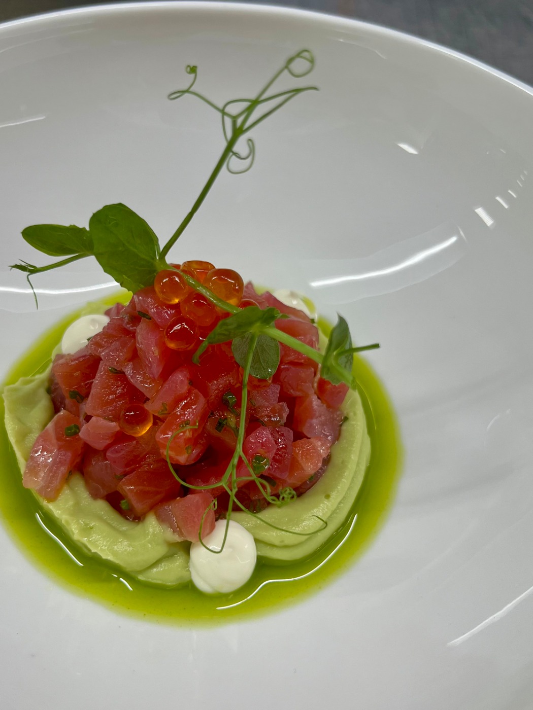 IMG_2978.jpeg IMG_2978.jpeg