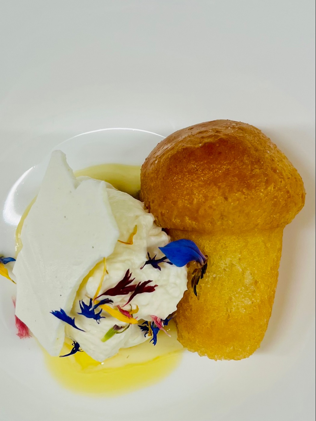 IMG_2417.jpeg IMG_2417.jpeg