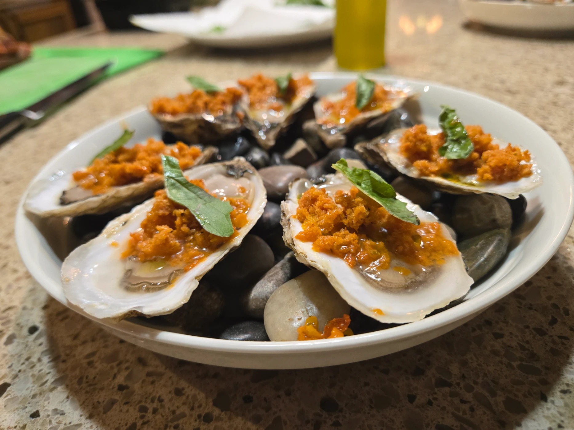 1000008904.jpg 1000008904.jpg